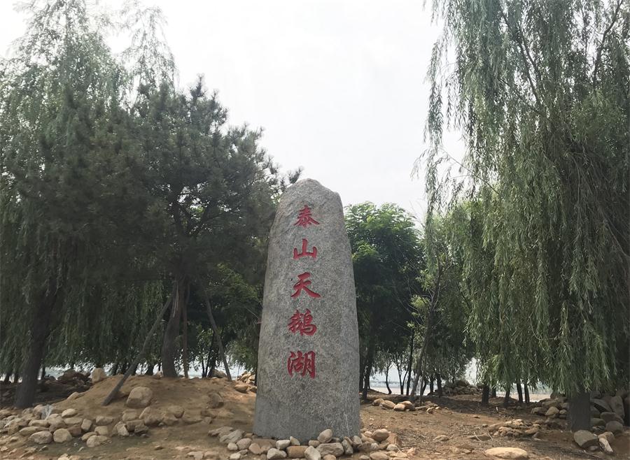 天鵝湖風(fēng)景區(qū)（泰山）速覽！(圖12)