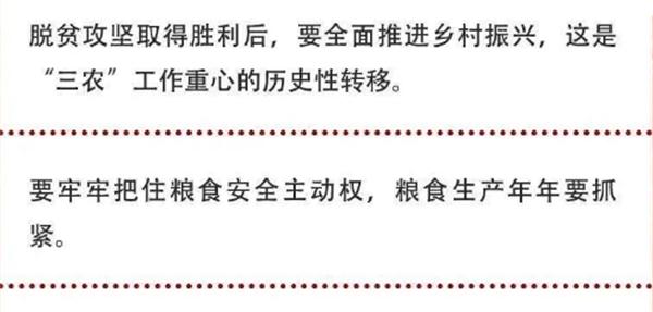 2020年中央農(nóng)村工作會(huì)議精神速覽！(圖2)