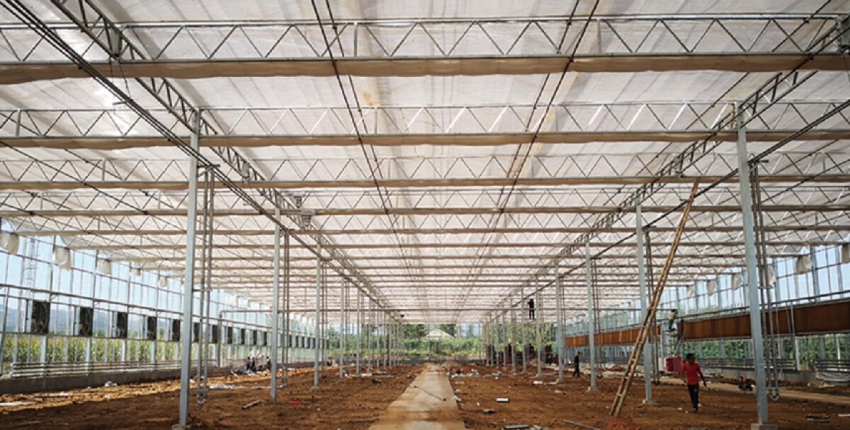 信橋鋼構(gòu)：打卡蒙陰農(nóng)業(yè)溫室大棚、青州黑牛養(yǎng)殖基地！(圖3)