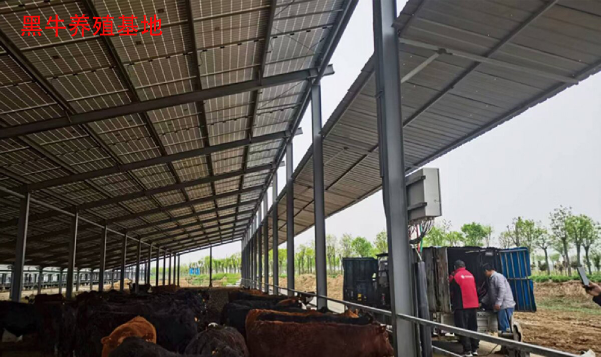 鋼結(jié)構(gòu)工程全流程服務:山東信橋鋼結(jié)構(gòu)有限公司(圖13)